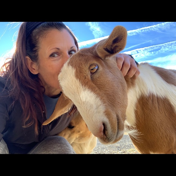 Meet your Posher, Heather - Picture 1 of 1